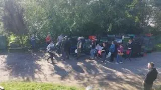 11 ton śliwek mogło się zmarnować, ludzie pomogli sadownikowi