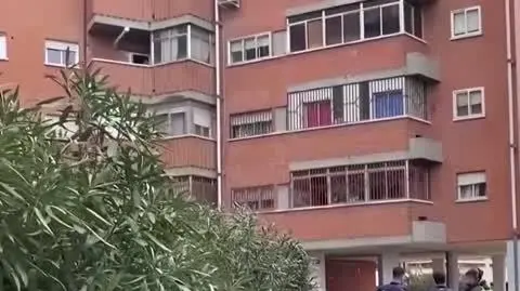 koza1
