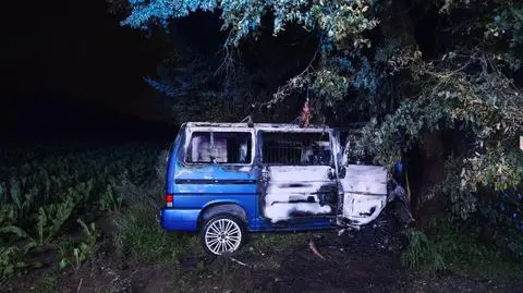 Auto uderzyło w drzewo i zapaliło się