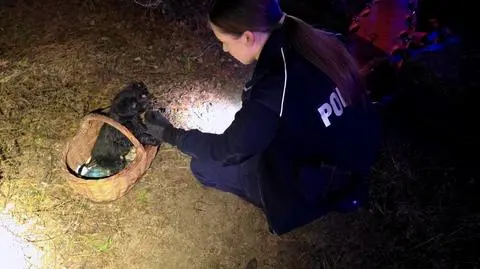 Szczekanie psa uratowało życie mężczyzny