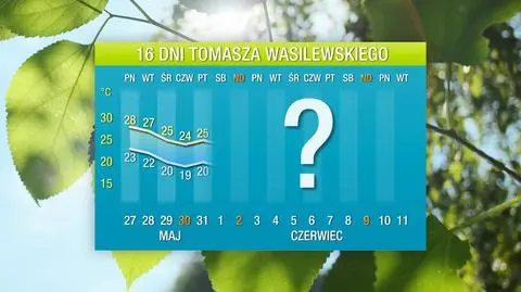 Pogoda na 16 dni. Tomasz Wasilewski o tym, jak zacznie się czerwiec