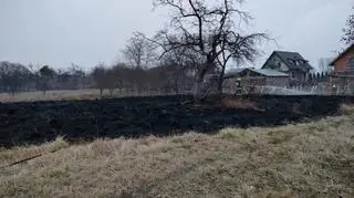 Tragiczny pożar traw. Znaleźli zwęglone ciało