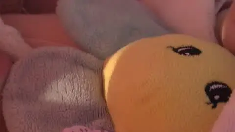 2207N388XR PIS DNZ WILCZYNSKA