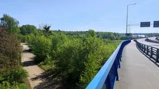 Toruń. Wieżowiec ma powstać na obszarze chronionym Natura 2000