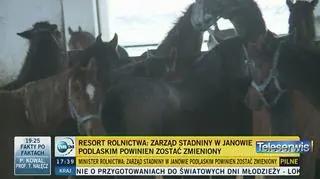 Były dyrektor stadniny w Janowie: pewnie pan minister ma jakiś plan 