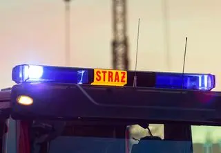 Strażak pojechał usunąć gniazdo os. Zmarł w szpitalu