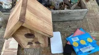 Budka dla ptaków z kamerą w środku. Grozi dożywocie