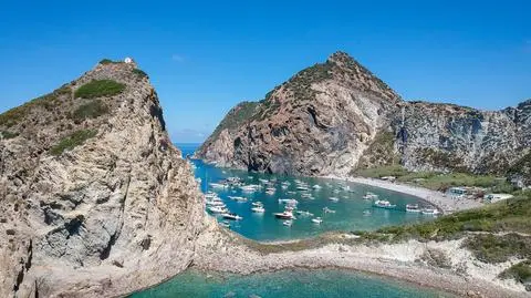 shutterstock_2369169197