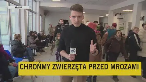 Klatka kluczowa-150582