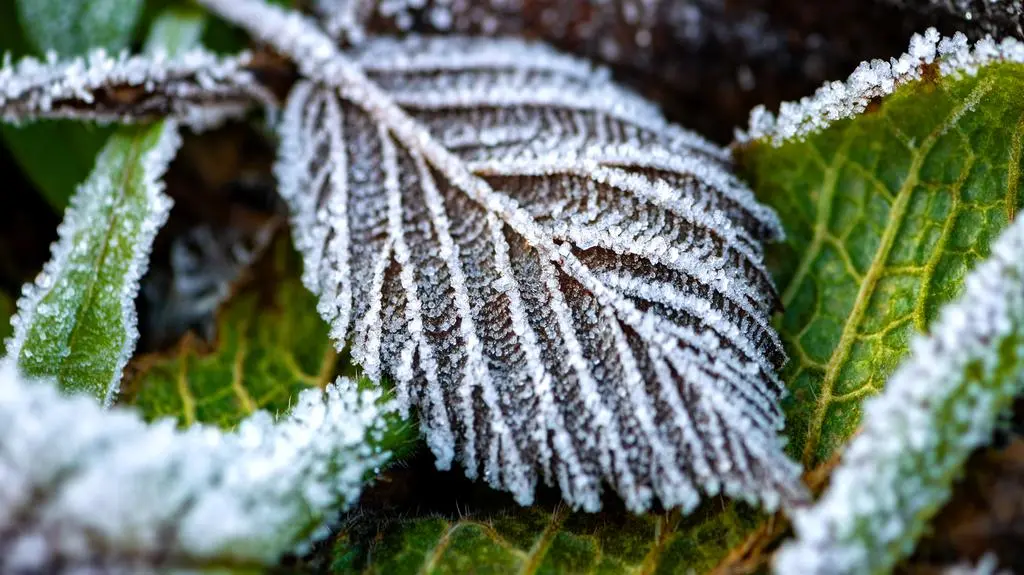 Temperatura mocno spadnie. IMGW ostrzega niemal w całym kraju
