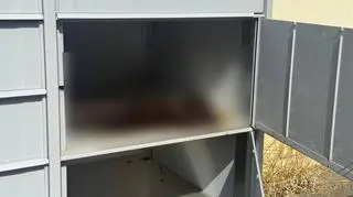 Martwy kot znaleziony w skrytce na paczki
