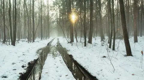 AdobeStock_1875197684