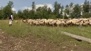 Bacówka Bucze
