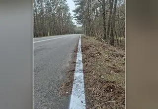 Pomalowali liście zamiast asfalt. "Bareja"