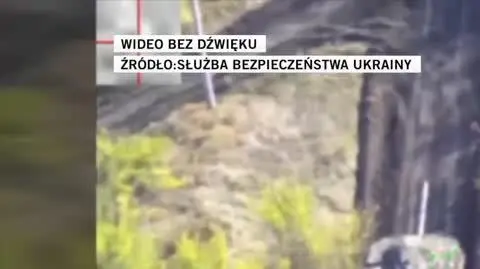 Służba Bezpieczeństwa Ukrainy 