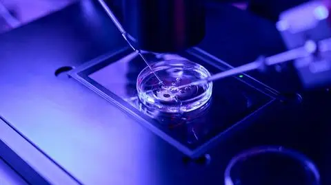 Anna o tym, jak przygotować się do adopcji zarodka