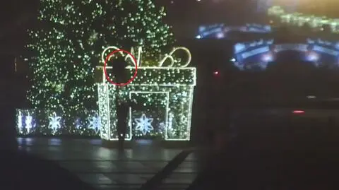 Wspinali się na świąteczne ozdoby