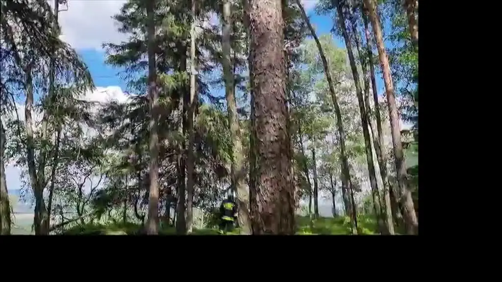 Pożar w Parku Narodowym Gór Stołowych