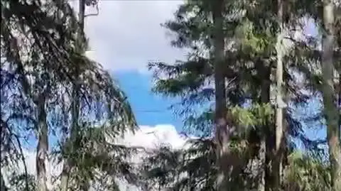 Pożar w Parku Narodowym Gór Stołowych