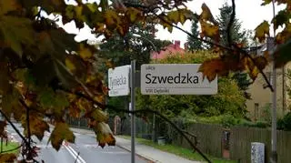 Do wycinki miało dojść na skrzyżowaniu ulic Szwedzkiej i Tynieckiej w Krakowie