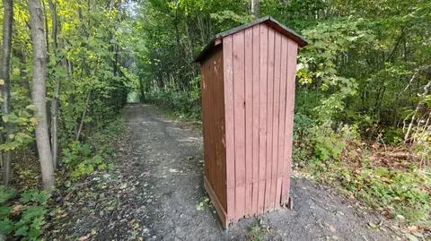Ktoś ustawił drewnianą sławojkę na wejściu do lasu w Zgierzu