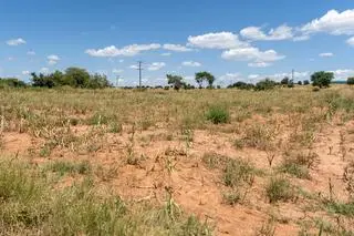 W Zambii panuje największa od 40 lat susza