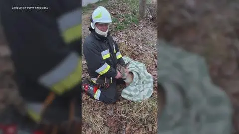 Klatka kluczowa-122084