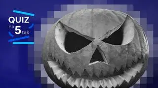 Quiz na Halloween. Nasz horror powszedni, czyli 10 pytań o polską politykę