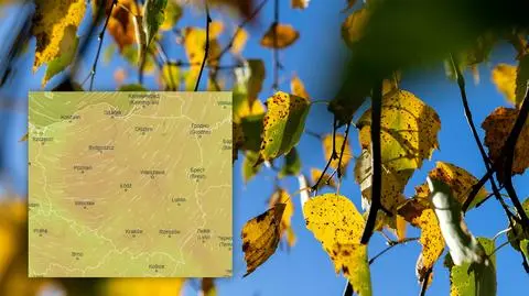 Ociepli się nawet do 20 stopni