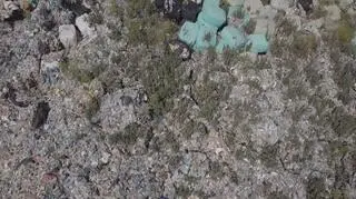 Odpady śmieci w Kłopotowie koło Lubina