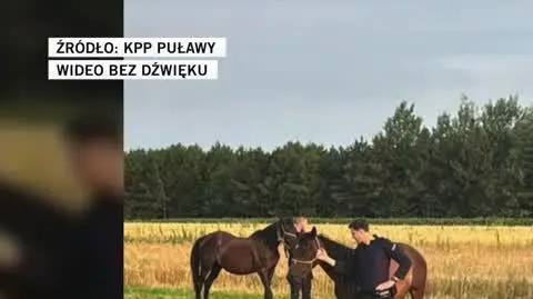 KPP Puławy 