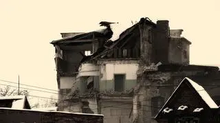 Pozostałości po jednej z części zabytkowego budynku