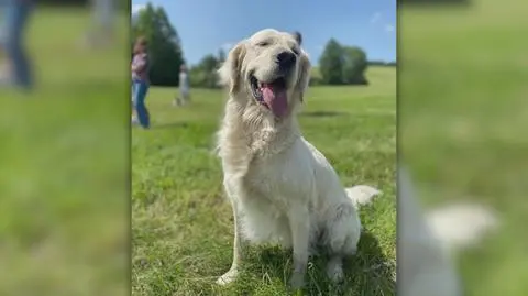 Klatka kluczowa-9117