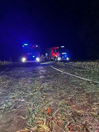 Pożar kombajnu na polu kukurydzy