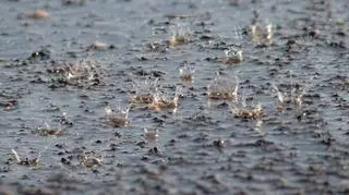 Nadchodzą burze z ulewami i gradem. Radar i mapa opadów