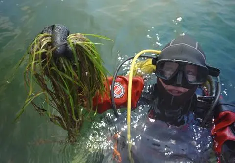 Trudno w to uwierzyć, ale ona się odradza. Jest coraz lepiej