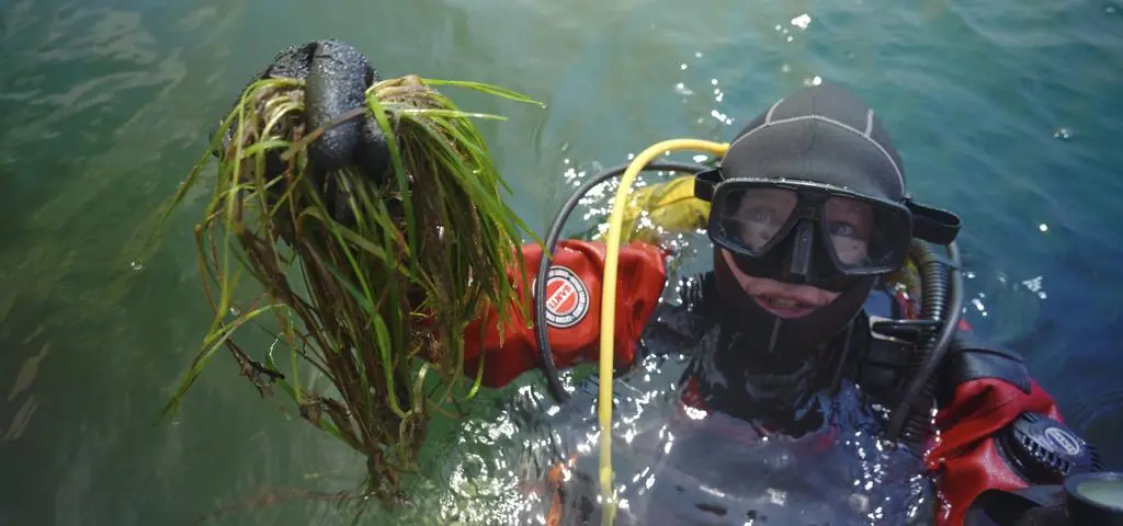 Trudno w to uwierzyć, ale ona się odradza. Jest coraz lepiej