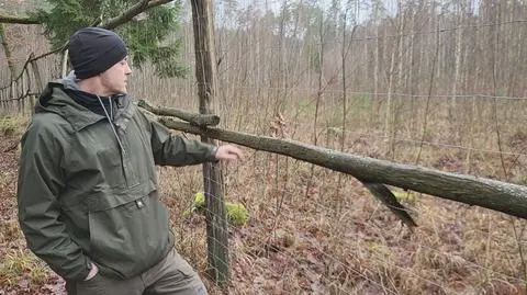 Klatka kluczowa-107468