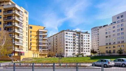 shutterstock_1709019151