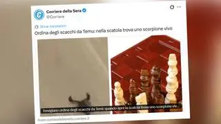 "Nagle zobaczyłem, że coś się porusza"