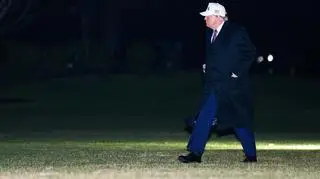 Trump o Grenlandii: potrzebujemy własności