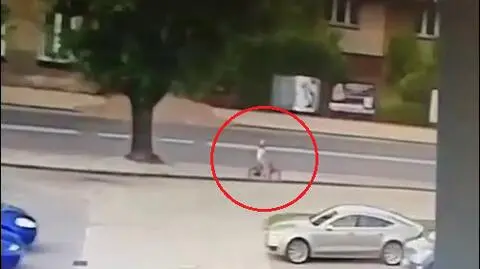 Uczył się jeździć na rowerze, nagle zniknął