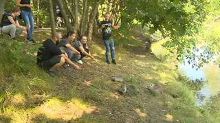 Protestujący chcą zmiany przetargu na wyłowienie i azyl dla zwierząt