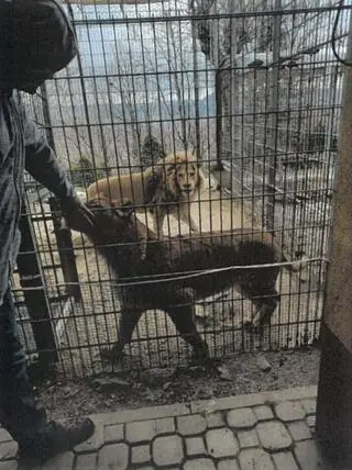 Zdjęcie z protokołu kontroli brzeskiego PIW w Czchowie