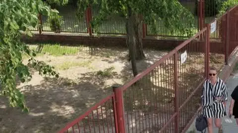 2806N220XR PIS DNZ KAKOL