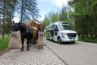 Fasiąg i bus elektryczny na trasie do Morskiego Oka