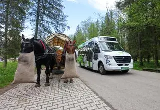Bus do Morskiego Oka będzie tańszy. Wiemy, kto skorzysta ze zniżek