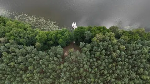 Chłopiec był uczestnikiem obozu harcerskiego w miejscowości Wilcze