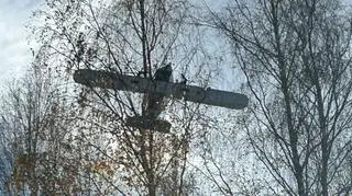 Zauważył nad drzewami drona 