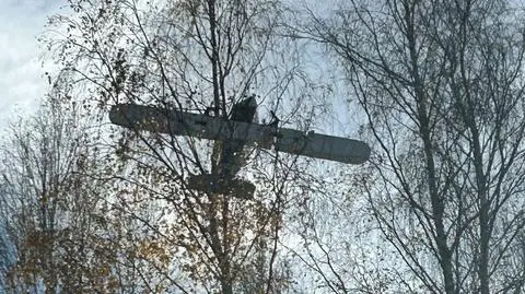 Zauważył nad drzewami drona 